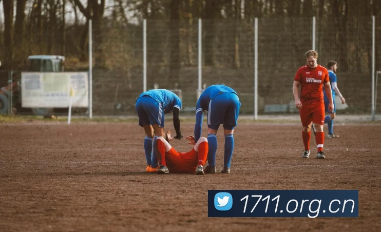 多媒体互动体验